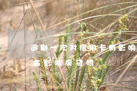 逾期一次对信用卡有影响吗（一次信用卡逾期会影响房贷吗）