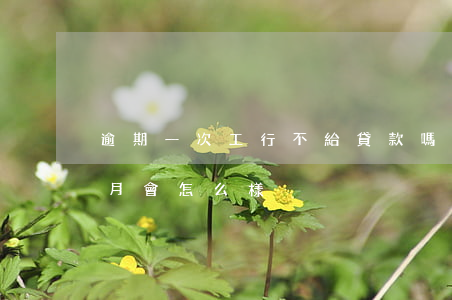 逾期一次工行不給貸款嗎(工行貸款逾期一個月會怎么樣)