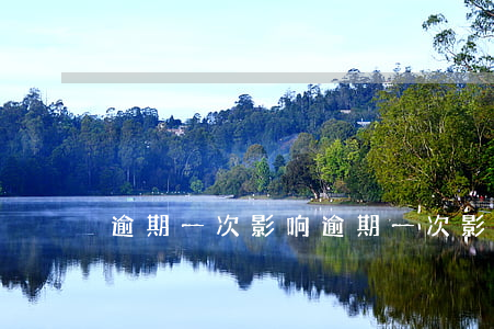 逾期一次影响(逾期一次影响考公务员吗)