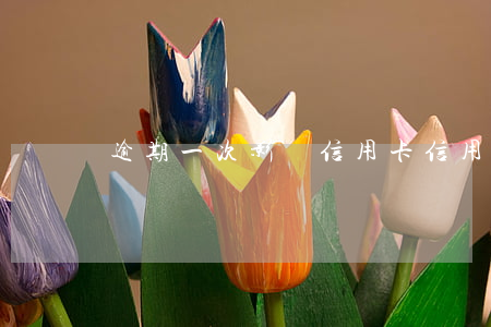 逾期一次影響信用卡（信用卡副卡逾期一次）