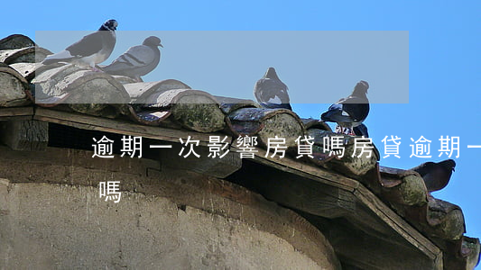 逾期一次影響房貸嗎(房貸逾期一次影響貸款嗎)