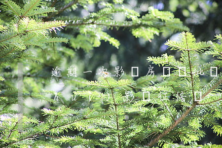 逾期一次影響房貸審批嗎(房貸逾期一次會(huì)影響征信嗎)