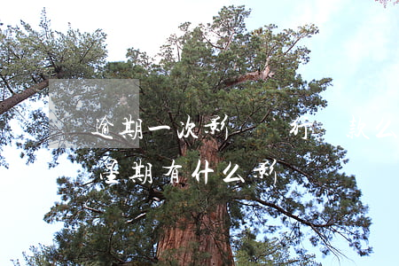 逾期一次影響銀行貸款么(銀行貸款逾期一個星期有什么影響)