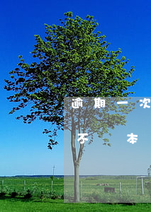 逾期一次性還清能不能少點兒本金?（逾期一天不還本金會怎么辦）