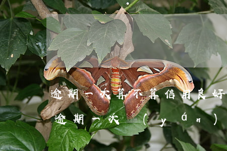 逾期一次算不算信用良好(個(gè)人信用逾期一次嚴(yán)重嗎)