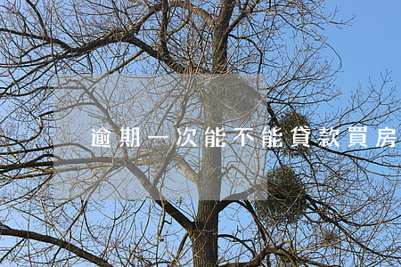 逾期一次能不能貸款買房