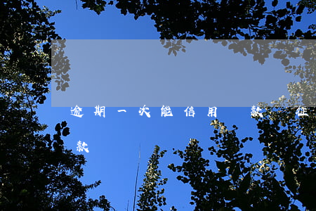 逾期一次能信用貸款嗎(征信逾期一次還能貸款嗎)