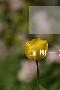 逾期一次能申請貸款嗎(有一次逾期可以貸款嗎)