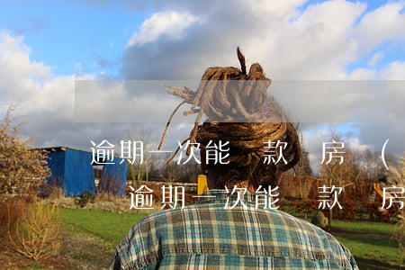 逾期一次能貸款買房會(huì)上浮利率嗎（逾期一次能貸款買房）