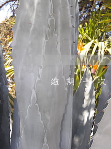 逾期一次貸款利率上漲(逾期年利率)