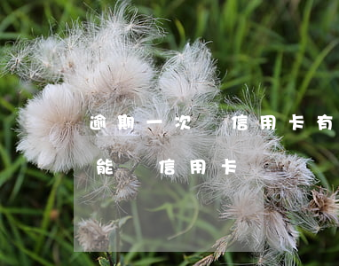 逾期一次辦信用卡有影響嗎(近期有一次逾期能辦信用卡嗎)
