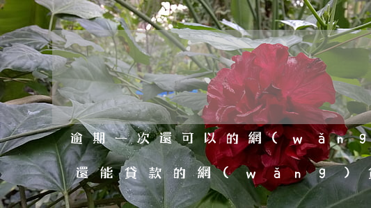 逾期一次還可以的網(wǎng)貸(逾期過還能貸款的網(wǎng)貸)