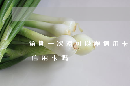 逾期一次還可以辦信用卡嗎(有逾期還可以辦信用卡嗎)