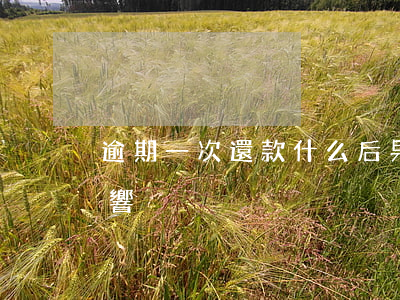 逾期一次還款什么后果(還貸逾期多少次有影響)