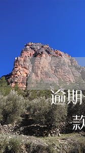逾期一次還款影響貸款么(請(qǐng)問貸款逾期還款會(huì)是怎么樣的后果)