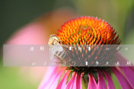 逾期一次還能網(wǎng)絡貸款嗎(網(wǎng)貸多次逾期還可以貸款嗎)