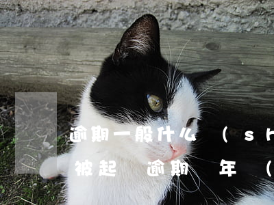 逾期一般什么時(shí)候會(huì)被起訴(逾期幾年會(huì)被起訴)
