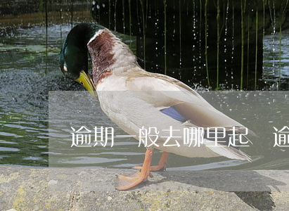 逾期一般去哪里起訴(逾期被起訴去哪里查)