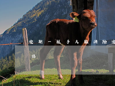 逾期一般多久能消除(逾期一般多久能消除征信)
