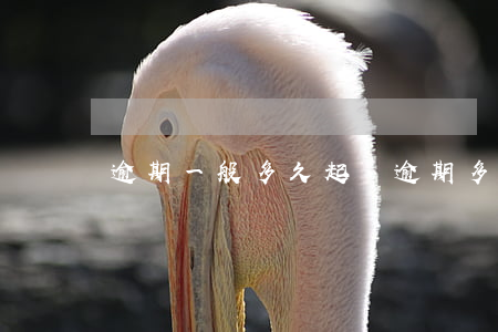 逾期一般多久起訴 逾期多久才能起訴