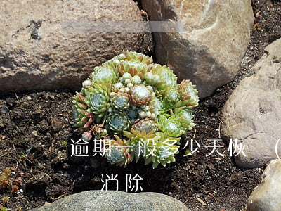 逾期一般多少天恢復(fù)-逾期多久才會消除