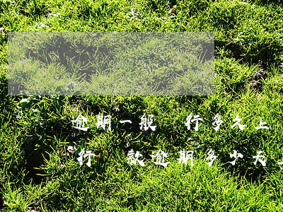 逾期一般銀行多久上報(bào)征信-銀行貸款逾期多少天上報(bào)征信