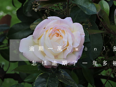 逾期一萬(wàn)多被起訴會(huì)怎樣(逾期了一年多,被起訴了怎么辦)