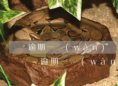 逾期一萬(wàn)滯納金一般多少錢一天-逾期一萬(wàn)滯納金一般多少錢一天啊