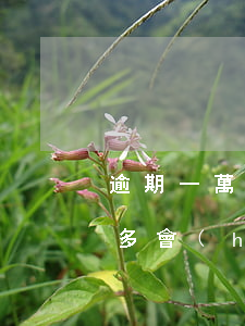 逾期一萬多久會(huì)被起訴(逾期一萬多會(huì)不會(huì)被起訴)