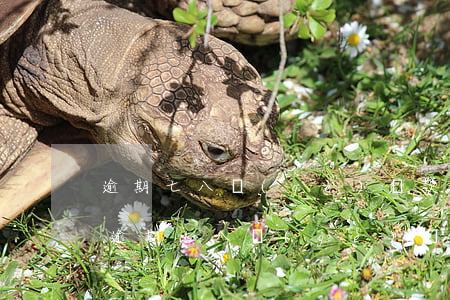 逾期七八個(gè)貸款可以去哪里借錢-逾期七八個(gè)貸款可以去哪里借錢呢