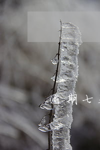逾期七天征信(征信報(bào)告七天過期)
