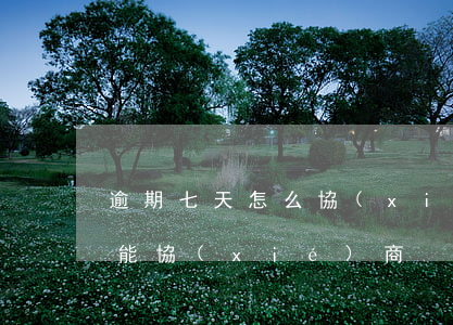 逾期七天怎么協(xié)商-逾期多久才能協(xié)商