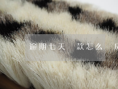 逾期七天還款怎么辦(房貸晚還7天算逾期嗎)