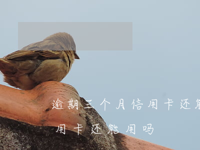 逾期三个月信用卡还能用吗-逾期三个月信用卡还能用吗