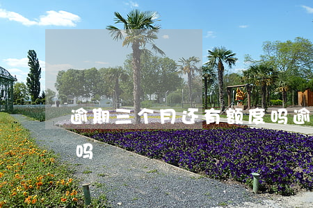 逾期三个月还有额度吗(逾期3个月还能恢复吗)