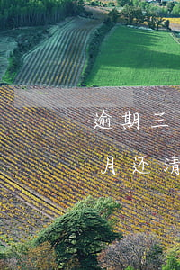 逾期三个月还清后征信有污点吗-逾期三个月还清后征信有污点吗怎么办