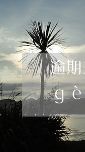逾期三個(gè)月一次性還款(逾期3個(gè)月把最低還款還了)