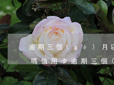 逾期三個(gè)月以內(nèi)上征信嗎（信用卡逾期三個(gè)月可以上征信嗎）