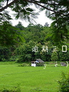 逾期三個(gè)月后最低還款額(逾期三個(gè)月信用卡已還清最低)