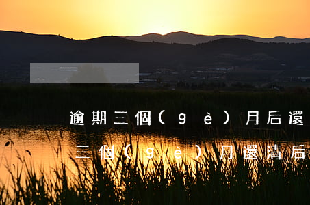 逾期三個(gè)月后還最低還款(貸款逾期三個(gè)月還清后)