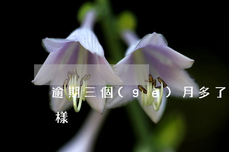 逾期三個(gè)月多了會(huì)怎么樣