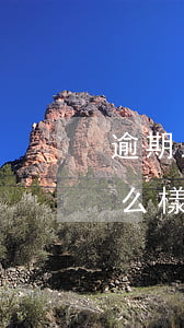 逾期三個(gè)月被起訴會(huì)怎么樣(逾期3萬(wàn)多久才能起訴)