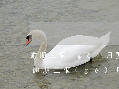 逾期三個(gè)月要多拿一萬(wàn)(逾期三個(gè)月要多拿一萬(wàn)塊錢嗎)