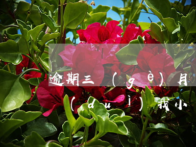 逾期三個(gè)月銀行說(shuō)要對(duì)我小額起訴-逾期三個(gè)月銀行說(shuō)要對(duì)我小額起訴是真的嗎