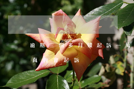 逾期三個多月被起訴一萬(逾期3個月是不是真的會起訴)