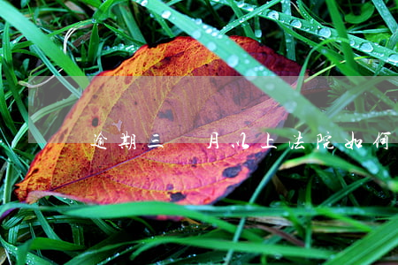 逾期三個月以上法院如何算本金-
