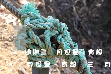 逾期三個月但是沒有超過三個月-逾期三個月但是沒有超過三個月怎么辦