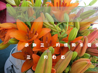 逾期三個月信用卡要求一次還清（信用卡逾期三個月自首）