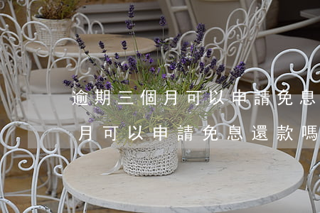 逾期三個月可以申請免息還款嗎-逾期三個月可以申請免息還款嗎知乎