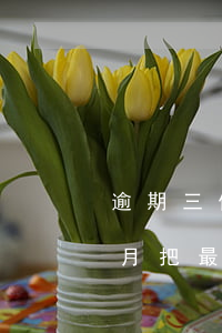 逾期三個月后只還了最低還款額-逾期3個月把最低還款還了